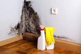 Best Emergency Mold Remediation  in Ladue, MO